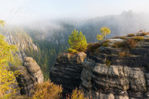 Fotoworkshop Landschaftsfotografie Elbsandsteingebirge Sachsen, Bastei im Sonnenaufgang
