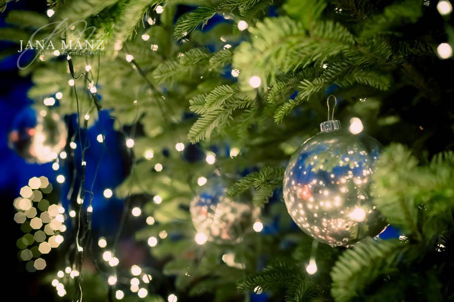 Weihnachten, Weihnachtsbaumplantage, Weihnachtsbaum, Tannenbaum, Sachsen, Deutschland