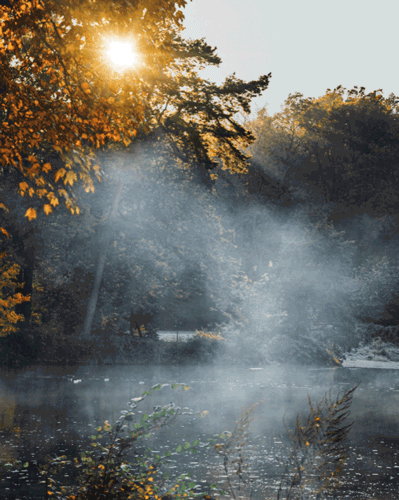 Muldental im Herbst Jana Maenz Naturfotografie