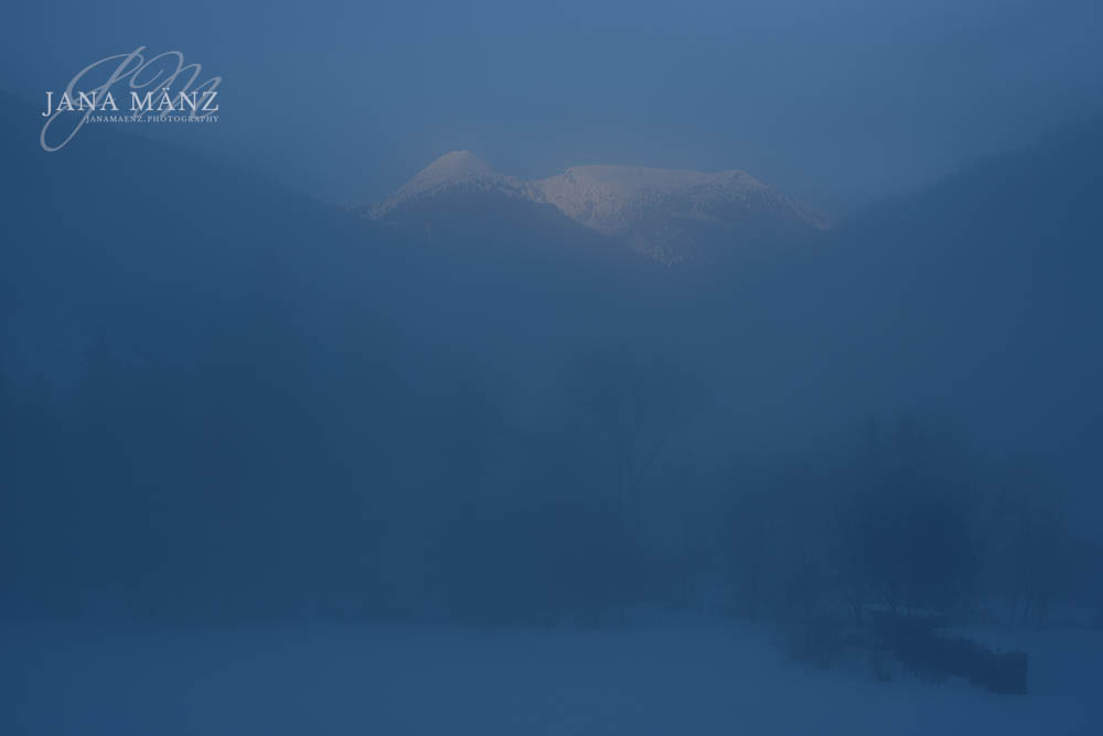 Naturfotografie für die Seele: Tipps für stimmungsvolle Moody-Naturfotos