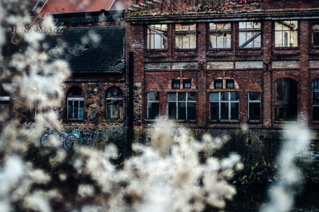 Görlitz, Sachsen, Trioplan100, Vintage Objektiv