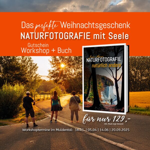 Gutschein Workshop Fotokurs Naturfotografie im Muldental