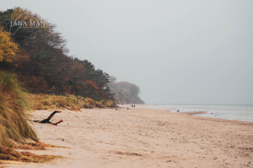 Zen, Wabi-Sabi, Shibui, Yūgen, Miyabi, Geidō, Jo-ha-kyū und Ensō – der Artikel nimmt dich mit in die Welt der japanischen Ästhetik und zeigt, wie diese Prinzipien die Naturfotografie auf eine tiefere Ebene heben. Entdecke die Kunst der Stille, die Schönheit im Unvollkommenen und die Verbindung von Licht und Schatten. Erlebe, wie minimalistische Kompositionen und achtsames Sehen deine fotografische Perspektive transformieren können.