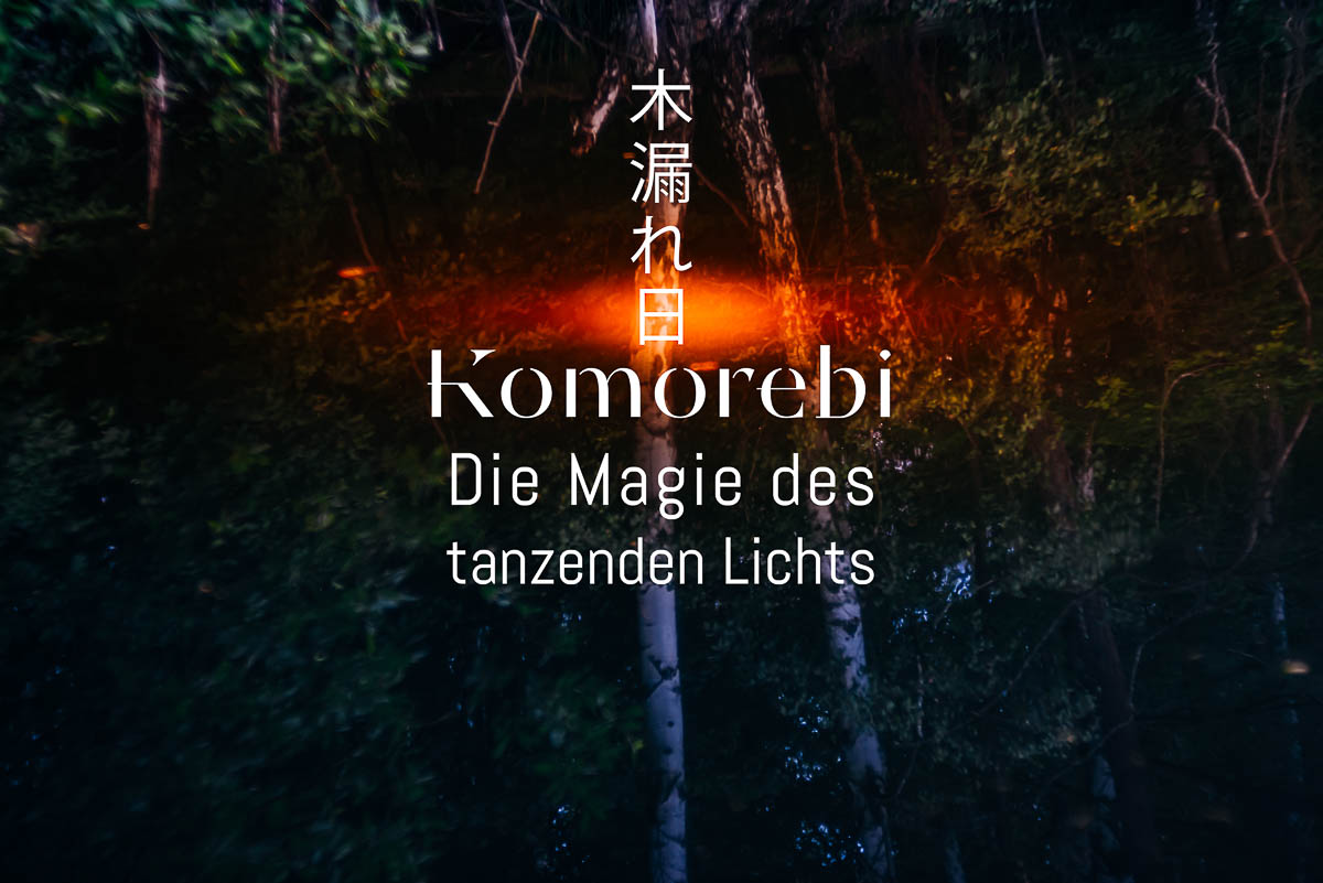 木漏れ日 Komorebi – Die Magie des tanzenden Lichts