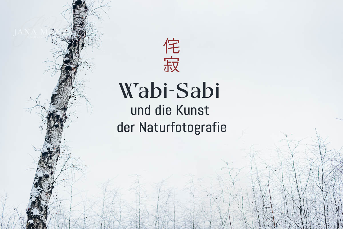 In meinem neuen Blogbeitrag erkunde ich, wie die japanische Philosophie des Wabi-Sabi meine minimalistische Fotografie prägt. Wabi-Sabi lehrt uns, die Schönheit im Unvollkommenen, Einfachen und Vergänglichen zu erkennen – eine Perspektive, die nicht nur meine Bilder, sondern auch meinen Blick auf die Welt verändert hat. Als Europäerin nähere ich mich dieser Ästhetik mit Respekt und Neugierde, wohl wissend, dass ich sie nie vollständig erfassen kann. Doch gerade dieser Austausch zwischen Kulturen ist für mich eine unerschöpfliche Quelle der Inspiration.

Im Artikel zeige ich, wie du die Prinzipien von Wabi-Sabi in deine Fotografie einfließen lassen kannst, und lade dich ein, diese Sichtweise in meinem 1:1 Naturfotografie-Workshop selbst zu erleben. Der Workshop basiert auf der Philosophie der japanischen Ästhetik und hilft dir, deine eigene Wahrnehmung zu schärfen, die Verbindung zur Natur zu vertiefen und das Besondere im Alltäglichen zu entdecken.