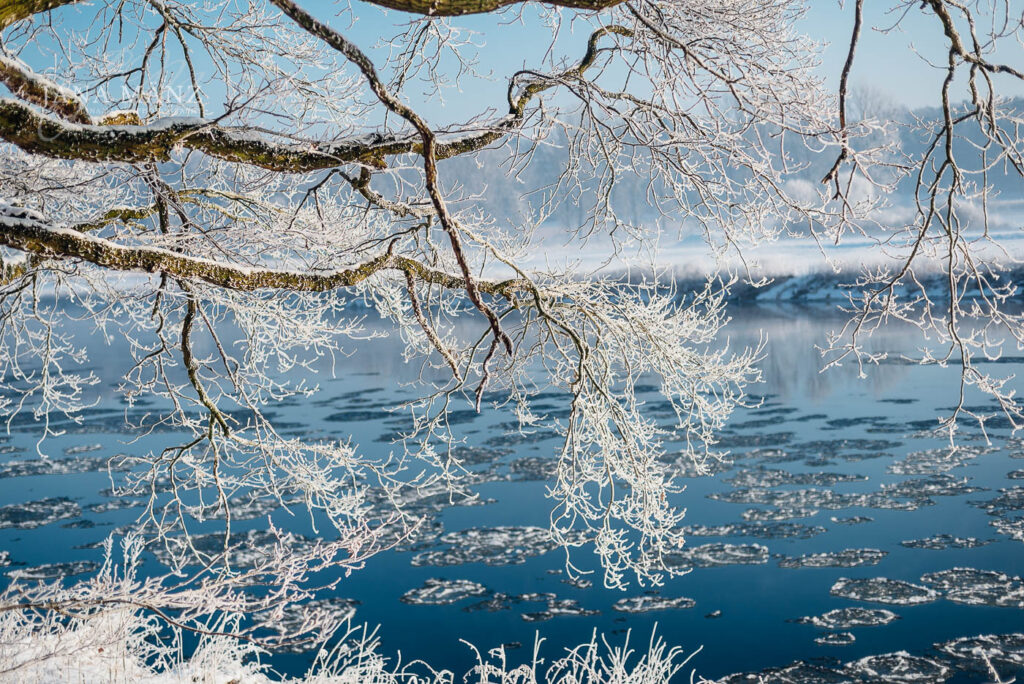 Winterbilder mit Gefühl und Verstand - Naturfotografie für die Seele: Tipps für die Schneefotografie