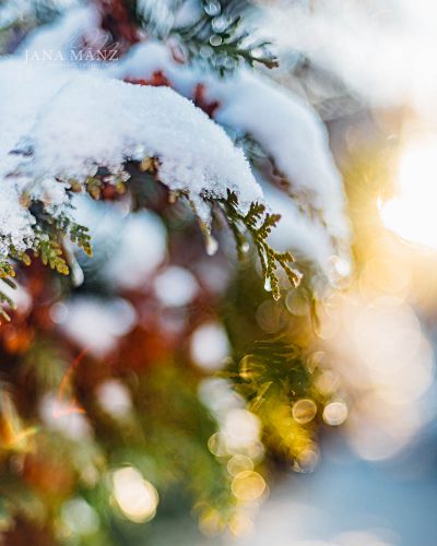 Muldental, Schnee, Winter, grimma. Naturfotografie für die Seele: Tipps für die Schneefotografie© Jana Mänz www.jana-maenz.de
